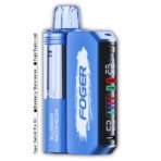 Blueberry Watermelon Foger Switch Pro Kit 30K Puffs - Image 2