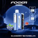 Blueberry Watermelon Foger Switch Pro Kit 30K Puffs - Image 3