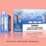Frozen Blueberry – Foger Switch Pro Kit 30K Puffs - Image 4