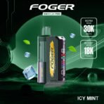 Icy Mint Foger Switch Pro Kit 30K Puffs