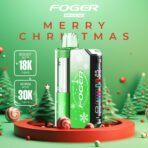 Peppermint Foger Switch Pro Kit 30K Puffs - Image 3
