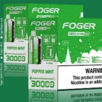 Peppermint Foger Switch Pro Kit 30K Puffs - Image 8