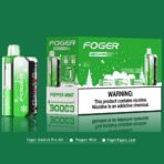 Peppermint Foger Switch Pro Kit 30K Puffs - Image 7